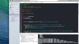 XCode Objective - C Debugging With Breakpoints