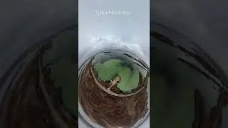 Tylihul Estuary|  Тилігульський лиман. Мандруй Україною!
