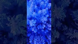 Зима#Тайга#Красота#