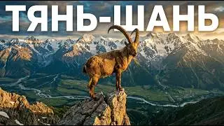 Wild Tian Shan: Why Are These Mountains Called 