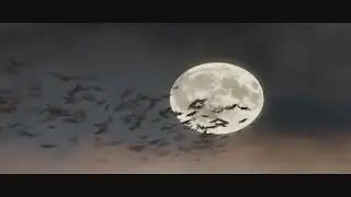 Stereo Art — Вальпургиева ночь