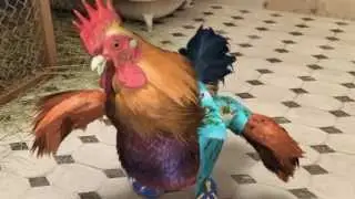 Mirari Films Animation Reel
