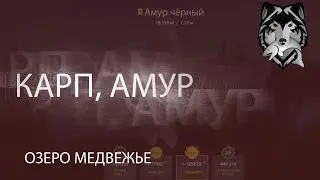 RF4! РР! Русская Рыбалка 4! Озеро Медвежье - Карп, Амур!