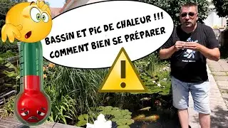 garden pond and peak heat, how to prepare for it