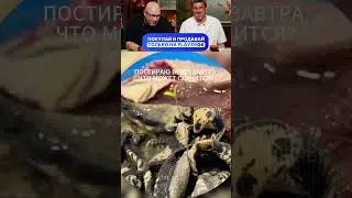 ЗАСМЕЯЛСЯ - ПОДПИСАЛСЯ! Ч43😂    ПОПРОБУЙ НЕ УЛЫБАТЬСЯ!