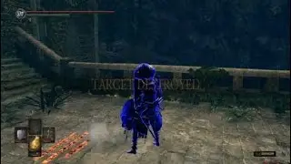 DARK SOULS™: REMASTERED  First try luck on my side