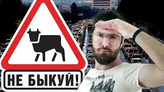 Я вам завидую! Влог
