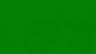 Green screen | animation wolf | free download 2022 🙅🐺
