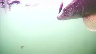 Подводные съёмки