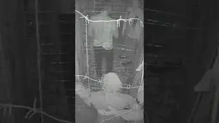 Когда проженный фанат Сайлент Хилла