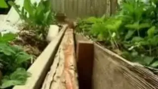 How to Build Raised Beds for your Garden