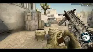 CSGO FUN