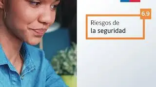 6.9 Riesgos de la seguridad