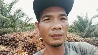 NGERI SEDAP,,!! NAIK DIATAS TRUK MUATAN PENUH..