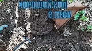 КЛАДОИСКАТЕЛИ // Хороший коп в лесу