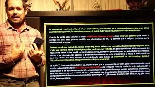Fotorrespiración y bioquímica fotosintética de plantas C4