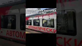 БЕСПИЛОТНУЮ ЛАСТОЧКУ ЗАПУСТИЛИ НА МЦК#shorts#новости #москва#интересно #метро#поезд