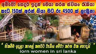 මෙයා කරන ස්වයං රැකියා ගොඩ| නිකන් කාලේ කනවට වඩා මේවා හොදයි| කැට 150යි රු 4500යි| iron women sri lanka