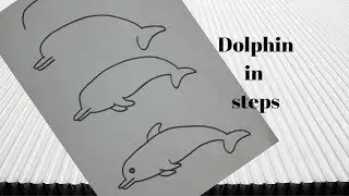How to draw Dolphin in easy steps