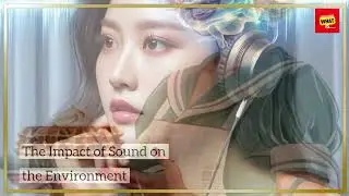 How Do We Hear Sounds and What Are Sound Waves