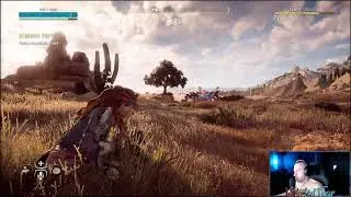 Horizon Zero Dawn PC | EVGA RTX 3080 | AMD Ryzen 5900X
