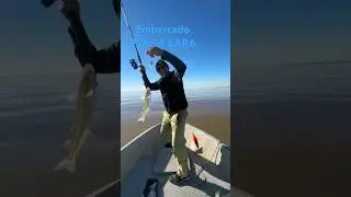 Pesca de Matungos en Punta Lara #fishing #pejerrey