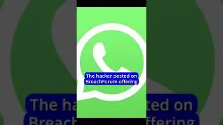Nearly 500 Million WhatsApp Users' Data Leaked