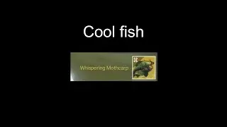 New exotic fish - Destiny 2