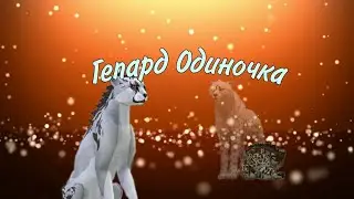 Wild craft мини фильм Гепард одиночка