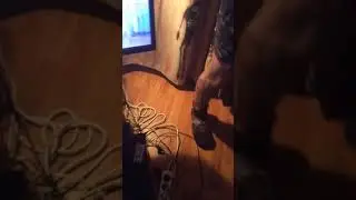 Танцы в психбольнице