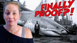 Megalodon Fact VS Fiction: Marine Biologist Shows the Evidence
