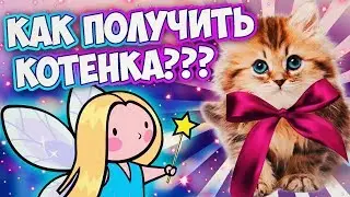 КАК ВЫЗВАТЬ ФЕЮ ЖЕЛАНИЙ И ПОЛУЧИТЬ КОТЕНКА