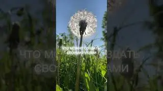 А Вы знали, что можно создать своими руками одуванчик???!!! Да, возможно !!!
