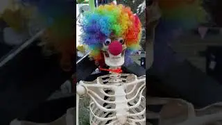 Gear Genius: Halloween Decorating Tricks