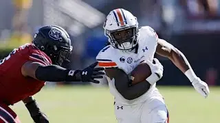 Tank Bigsby Auburn Highlights | The 2020 Season