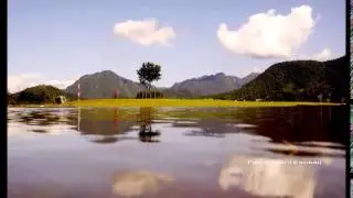 Melati - Randang Kopi