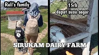 LIBURAN KE SIRUKAM DAIRY FARM GRATIS SUSU SEGAR