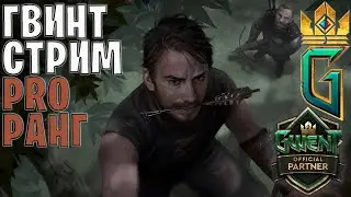 Gwent | НОВЫЙ СЕЗОН - НОВЫЕ КОЛОДЫ — Гвинт 12.2
