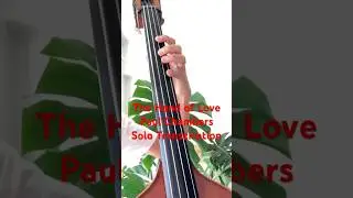 Paul Chambersの低いポジションだけで弾けるベースソロ The Hand of Love(Solo Transcription) #bass #shorts  #jazz