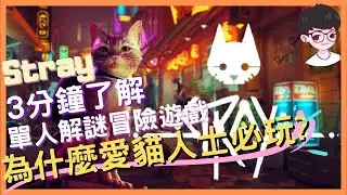 為什麼愛貓人士必玩？三分鐘了解，冒險解謎遊戲｜《stray》
