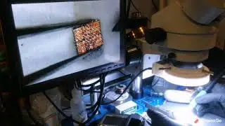 SOLUCIÓN P SMART ( NO AUDIO)