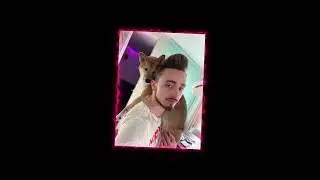 #meme