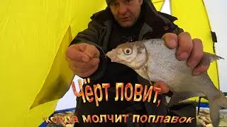 Night fishing for bream. Day fishing for devil. Pea porridge with bloodworm worked.