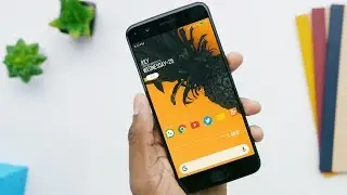 Best Nova Setup 2018