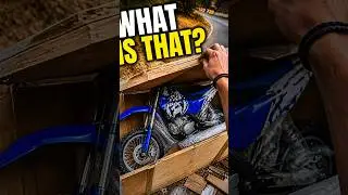 Found a Dirt Bike Left to Rot – I Had to Try Starting It 