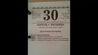 «Откровенно о важном»:  Елена Черникова.  Часть 2. Автор программы Марина Улыбышева