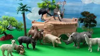 Satisfying Unboxing CollectA Domestic and Wild Animal Figures- Mở hộp mô hình động vật hãng CollectA