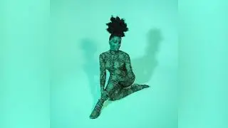 LION BABE - Flowers (Official Audio)