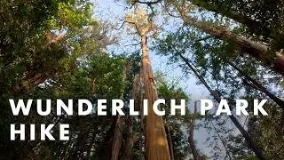 Peaceful Walk Through Wunderlich Park | Shaded Forest & Quiet Trails