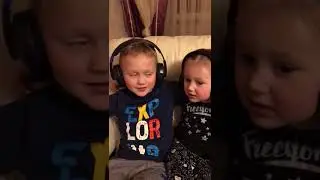 Белые розы
